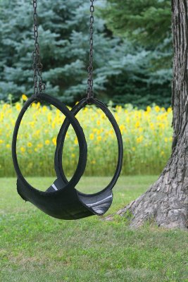The old tire swing of my childhood