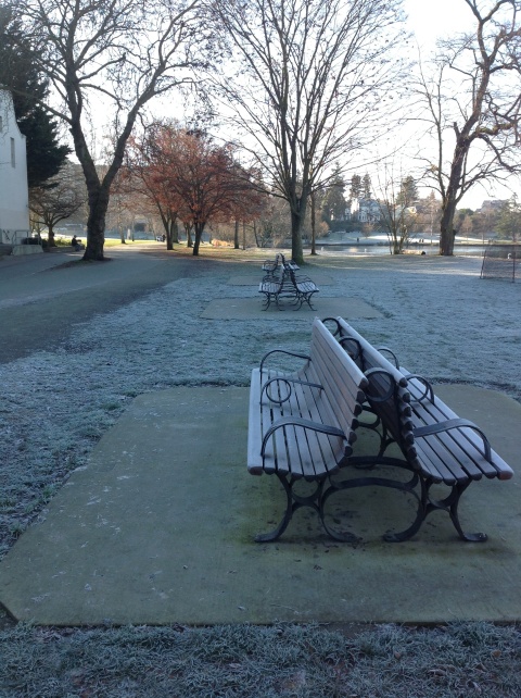 Frosty benches at Green Lake