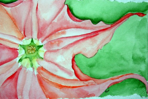 Watercolor sketch of trumpet flower