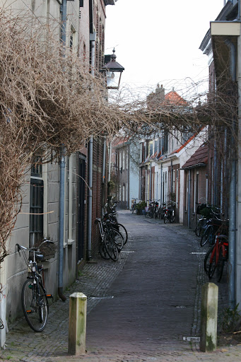 Bikes parked along a narrow residential street in Haarlem