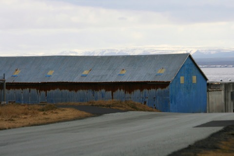 Weathered blue shed