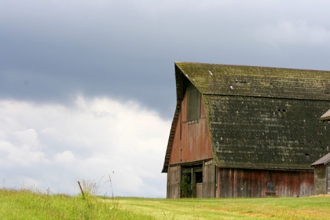 Old barn, Whidbey Island