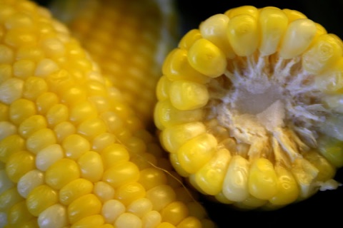 Olathe sweet corn
