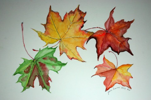 Watercolor sketch of fallen maple leaves