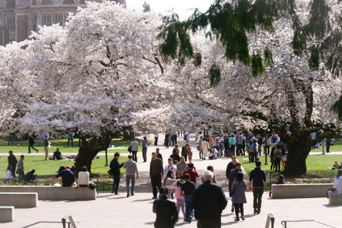 The Quad at the University of Washington